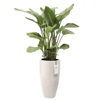 Pot pc june round d40h70cm linnenwt - afbeelding 2