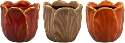 Pot tulip kleur d8 h8