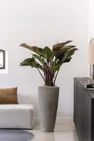 Pottery Pots bloempot Dax l 37x80cm diorite grey - afbeelding 2