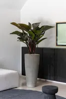 Pottery Pots bloempot Dax xl 47x99,5cm diorite grey - afbeelding 2