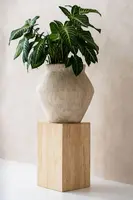 Pottery Pots bloempot Fleuri l, travertine beige - afbeelding 2