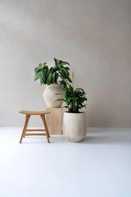 Pottery Pots bloempot Harith high xs, travertine beige - afbeelding 2