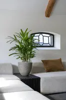 Pottery Pots bloempot Jesslyn s 50x45cm diorite grey - afbeelding 2