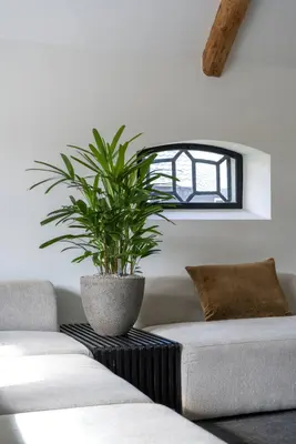 Pottery Pots bloempot Jesslyn xs 42x36cm diorite grey - afbeelding 2