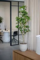 Pottery Pots bloempot Mini Orb M 25x21cm beige washed - afbeelding 2