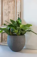 Pottery Pots bloempot Mini Orb M 25x21cm diorite grey - afbeelding 2