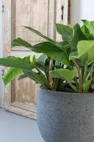 Pottery Pots bloempot Mini Orb XL 40x34cm diorite grey - afbeelding 3