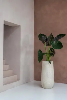 Pottery Pots hoge bloempot Nax l, travertine beige - afbeelding 2