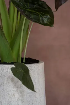 Pottery Pots hoge bloempot Nax l, travertine beige - afbeelding 3