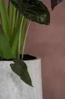 Pottery Pots hoge bloempot Nax l, travertine beige - afbeelding 3