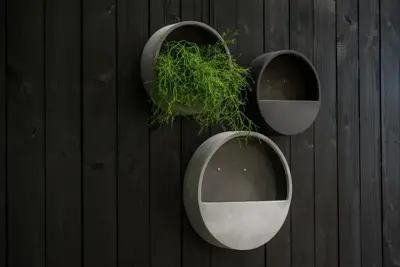 Pottery Pots muurpot Wally hang M d50h10 Black - afbeelding 3