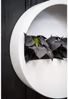 Pottery Pots muurpot wally hang xs 30x9cm high gloss wit - afbeelding 3