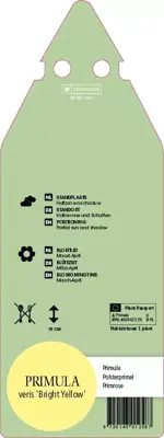 Primula Veris Bright Yellow (Sleutelbloem) - afbeelding 2