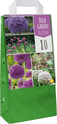 Bulb garden allium 80st - afbeelding 2