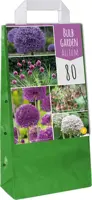 Bulb garden allium 80st - afbeelding 2