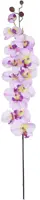 Phalaenopsis l.paars - l121cm 127323 lavender01 - afbeelding 1