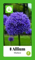 Allium gladiator 8st - afbeelding 1