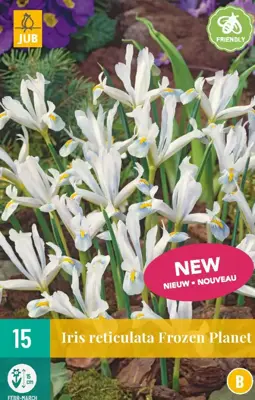 Iris ret. frozen planet 15st - afbeelding 1