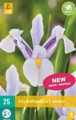 Iris holl. carmen 25st - afbeelding 1