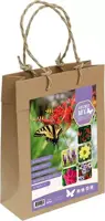 Vlinderpakket - afbeelding 1