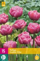Tulpen double lilac 15st - afbeelding 1