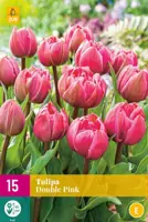 Tulpen double pink 15st - afbeelding 1
