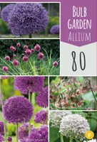 Bulb garden allium 80st - afbeelding 1