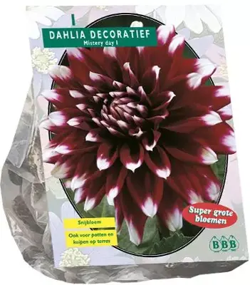 Dahlia deco mistery day 1st - afbeelding 1
