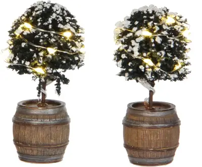 Luville General Buxus tree in a barrel 2 pieces - afbeelding 1