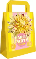 Zk dahlia party yellow 1st - afbeelding 1
