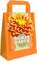 Zk dahlia party orange 1st - afbeelding 1