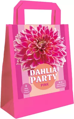 Zk dahlia party pink 1st - afbeelding 1