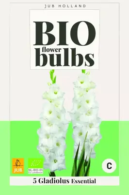 Bio gladiolus essential 5st - afbeelding 1