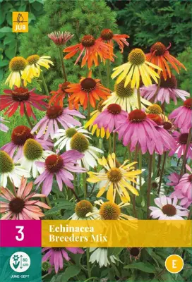 Echinacea breeders mix 3st - afbeelding 1
