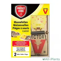 Protect Home Muizenval Hout - Ongediertebestrijding - 2 stuks - afbeelding 1