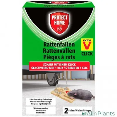 Protect Home Rattenval Plastic - Ongediertebestrijding - 2 stuks - afbeelding 1