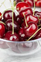 Prunus avium 'Sylvia' (Kers) fruitplant 110cm - afbeelding 13