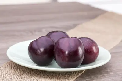 Prunus domestica 'Hauszwetsche' (Pruim) fruitplant 230cm - afbeelding 13