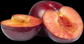 Prunus domestica 'Opal' (Pruim) fruitplant 90cm - afbeelding 20