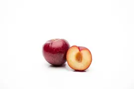Prunus domestica 'Opal' (Pruim) fruitplant 90cm - afbeelding 10