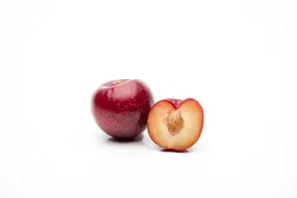 Prunus domestica 'Opal' (Pruim) fruitplant 90cm - afbeelding 11
