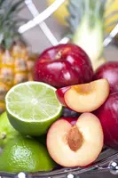 Prunus domestica 'Opal' (Pruim) fruitplant 90cm - afbeelding 8