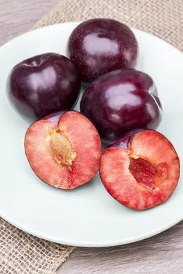 Prunus domestica 'Opal' (Pruim) fruitplant 90cm - afbeelding 17