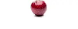 Prunus domestica 'Victoria' (Pruim) fruitplant 160cm - afbeelding 9