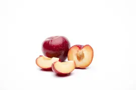 Prunus domestica 'Victoria' (Pruim) fruitplant 160cm - afbeelding 12