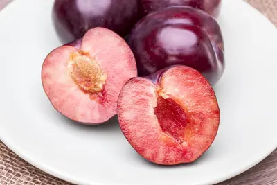 Prunus domestica 'Victoria' (Pruim) fruitplant 160cm - afbeelding 15