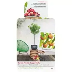 Prunus persica 'Red Peachy' (Perzik) fruitplant 90cm - afbeelding 1