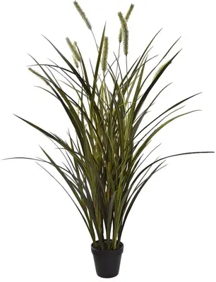 Pure Royal gras 104cm groen - afbeelding 1