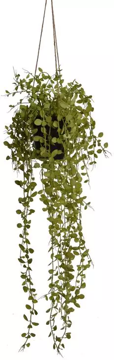 Pure Royal kunst hangplant blad 90cm lichtgroen - afbeelding 1