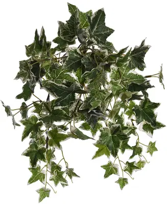 Pure Royal kunst hangplant klimop 40cm groen - afbeelding 1